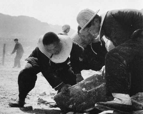 抬石頭，多少人手上都磨出了老繭